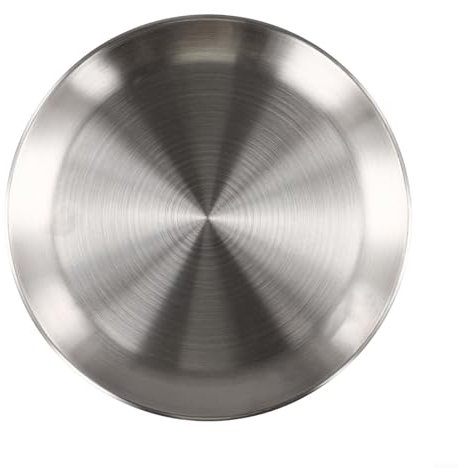 Elegantes platos redondos de acero inoxidable para servir el almuerzo y la cena (23 cm)