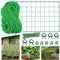 Secwell Red de Malla de Nailon para Plantas trepadoras 5x1.8m Red de Escalada, Red de Soporte para Plantas trepadoras