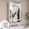 Plcnn Armoire Murale Salle De Bain avec Miroir et LED, Armoire de Toilette Miroir, Armoire Pharmacie Miroirs avec Étagère Réglable,Température de Couleur Réglable (50x70x14 cm)