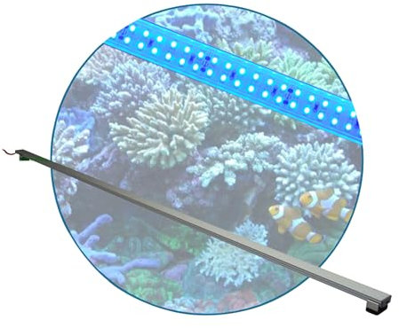Meerwasser Aquarium - LED-Leuchtbalken 70 cm, 1 Leiste BLAU mit Trafo 24V