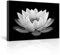 LZIMU Zen Bild auf Leinwand schwarz weißes Lotusblüten Leinwandbild Badezimmer Spa Kunstwerk für Yoga Meditationsraum spirituelle Geschenke (4, 40.00x60.00cms)