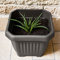 REPLOOD Vaso Gaia Quadrato Con Sottovaso Self Waterer Vaso per Fiori e con Riserva Acqua in Plastica Dura (25x25cm, Grigio)