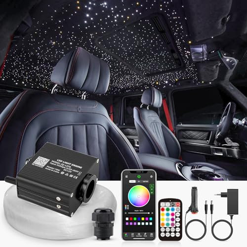 SUNKENET 16W Twinkle Sternenhimmel Auto, 650pcs*0.75mm*4m Sternenhimmel Glasfaser RGBW Bluetooth-APP/Fernbedienung Led Glasfaser Licht für Auto/Decke/Theater