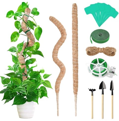 Anevios 2 Pezzi Bastone per Piante Rampicanti 120 cm con 20m Fascetta per Alberi e Attrezzi da Giardino Palo Totem in Fibra di Cocco Flessibile per Piante da Interno Supporto per Piante Rampicanti