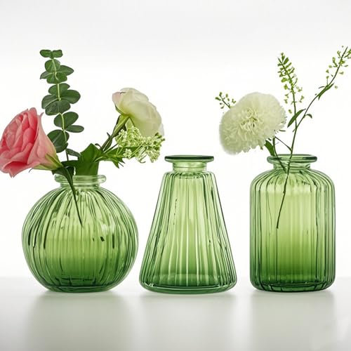 Vasen Klein Glas EylKoi - Vasen Klein Tischdeko Klar Verschiedene Formen, Vasen Hochzeit, Mini Kleine Vasen Für Tischdeko Für Zuhause (1 Satz, 1#-Grün)