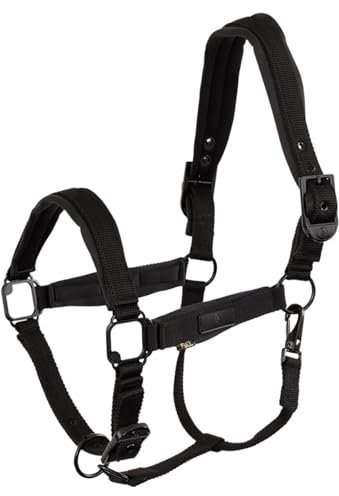 BR Halfter Fedde Schwarz - Full/WB