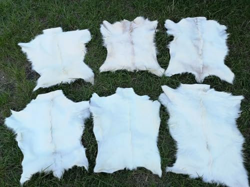 Provellus Ziegenfelle Ziegenfell Fell kein Geruch TOP Gerbung Natur SCHNÄPPCHEN (Hell Stückpreis, 90-110cm)