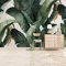 ZZXIAO Bananenblätter große Wandtapete Wohnzimmer Wanddekoration wandpapier fototapete 3d effekt tapete Wohnzimmer Schlafzimmer Hintergrundbild-350cm×256cm