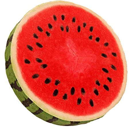 YILANLAN Cojín de Fruta Divertido de Piso Redondo - Decorativo de Felpa para el Hogar, Sofá, Dormitorio y Sala de Estar (40cm, Rojo)