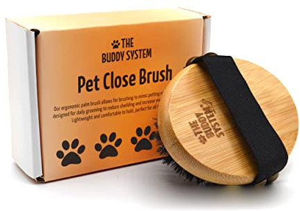 The Buddy System Pet Close Brush, Soft Touch Oval Palm Brush - Bambus Massage Handheld mit weichen Wildschweinborsten und Gummiband für Hunde und Katzen