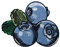 Finally Home Blaubeeren Heidelbeere Obst Patch zum Aufbügeln | Früchte Blüten Patches, Essen Food Bügelflicken, Blaue Frucht Flicken, Wald Beeren Aufnäher