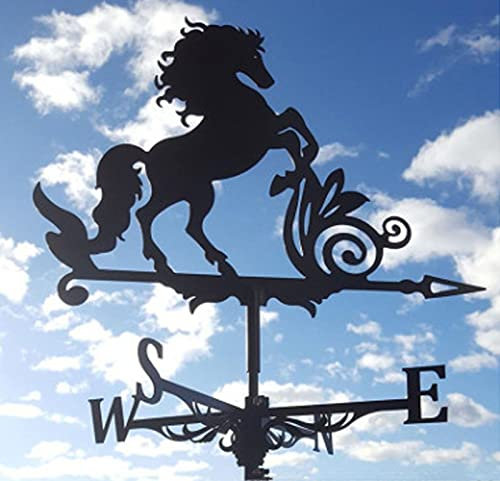 Wetterfahne,Wetterhahn, lackiertes Metall Retro Windrichtungsanzeiger aus Metall mit Fester Halterung,Wetterfahne Betreff Dach Deko,20
