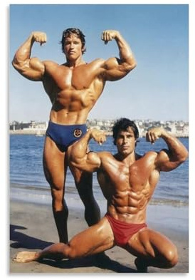 Arnold Schwarzenegger Poster Fitnessstudio Motivierende Zitate Bodybuilding (44) Wandkunst Bild Malerei Poster Leinwand Druck Poster Kunstwerke Raumdekor 40 x 60 cm
