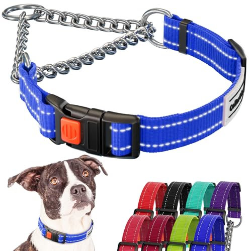 CollarDirect Reflektierendes Hundehalsband, Martingale-Halsbänder, seitliche Schnalle, Kette Training, verstellbare Haustier Halsbänder (Blau, S, 30-37 cm)