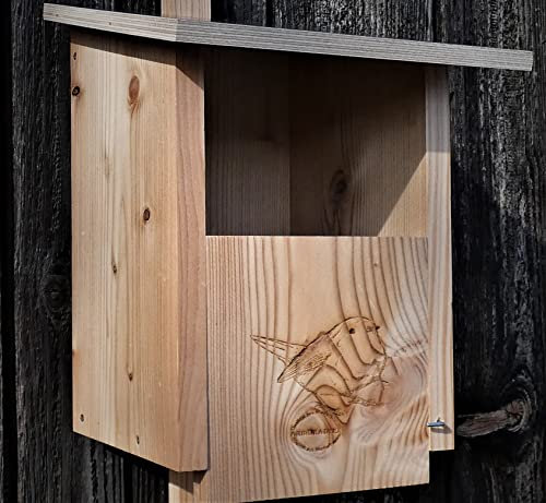 Premium Natur Lärchenholz Nistkasten unbehandelt nach Nabu, massives Vogelhaus Nisthilfe wetterfest 18mm stark verschraubt, mit Befestigungsmaterial (Baumschonende Alunägel) (Nistkasten Rotkehlchen)
