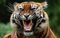 PUZZLECABIN Puzzle 1500 Teile Erwachsener Puzzle Tiger 37 Puzzle, das zum Gegenteil der intellektuellen Entwicklung führt