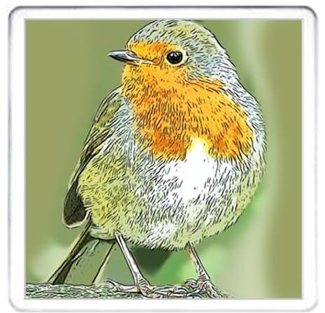 Robin Coaster Animals of the World Range. Matching Robin Ceramic Mug Available. Acrylic coaster 10cm x 10cm. Robin Red Breast Gift Coaster