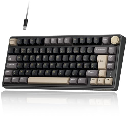 RK ROYAL KLUDGE R75 Clavier Mécanique, Clavier Gamer Filaire 75% AZERTY avec Gasket Mount, Molette de Volume, Switch Tactile Beige Hot-Swap, Touches PBT, Rétroéclairage RGB pour Windows/Mac/PC