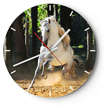 Modern Wanduhr Staub Emotionen Pferd Natur 30x30cm Rund Klein Wand Uhr Glas Analog Zimmeruhren Küche Büro Wohnzimmer Glasuhr Wall Clock Dekoration Design Wanddekoration Küchenuhr C3AR30x30-2181