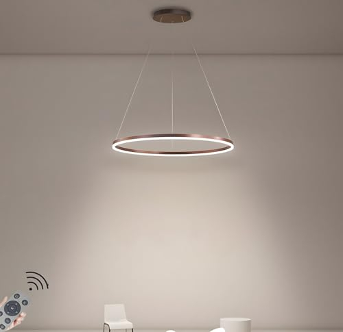 YYUTLUO Moderner DIY-Kreis-LED-Kronleuchter | 1 Braun Goldringe:60cm=29W | LED-Pendelleuchte aus Metall+Acryl |2,4 G Dimmbare Fernbedienung | Runde Decken-Hängelampe Wohnzimmer Schlafzimmer Esszimmer