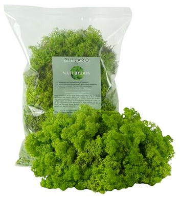 Philaro Islandmoos - Echtes Naturmoos in 3 versch. Farben aus Schweden in 500g - 1kg Einheiten - konserviertes langlebiges Moos ideal zum basteln oder für dein DIY Moosbild - Moos Hellgrün 500g