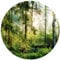 wandmotiv24 Runde Fototapete Wald Wiese Bäume, selbstklebendes Vlies 150g - Extra-Groß - (200x200cm) M0060