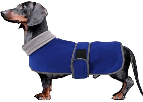 MOREZI Winterhundejacke mit wattiertem Flusenfutter, verstellbarem Klettknopf und hochklappbarem Stehkragen. Sehr gut geeignet für Dackel und kleine und mittelgroße Jagdhunde-Blau-XS