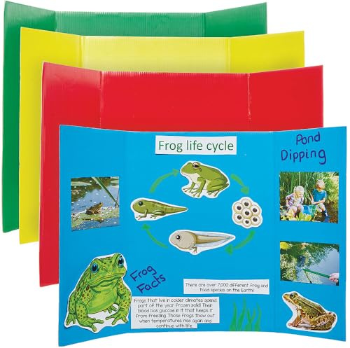 Baker Ross FN683 Small Coloured Presentation Boards – Pack of 4, Display Boards for Crafts, Presentations, Table Top Projects