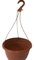 The Flowerpot Men 27CM PLASTIC HANGING POTS BASKETS PLANTERS X3 (x3, Brown)