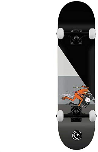 Toy Machine Foundation Templeton Push Complete Skateboard Multi 21 cm