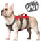 Beirui Ausbruchsicheres Hundegeschirr für kleine, mittelgroße Hunde, reflektierendes Hundegeschirr, kein Ziehen, mit gepolstertem Griff, Training (rot, Brustumfang 30.5–50.8 cm)