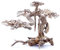 Superfish 60392/3884 Holz Bonsai Treibholz (Größe L)