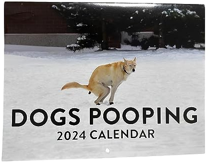 Kackende Hunde Kalender 2024, Dogs Pooping In Beautiful Places Calendar, Lustige Kackende Tiere Kalender, Hund Pooping Wandkalender, Für Zuhause, Hostel, 30x23cm (30x23cm)