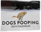 Kackende Hunde Kalender 2024, Dogs Pooping In Beautiful Places Calendar, Lustige Kackende Tiere Kalender, Hund Pooping Wandkalender, Für Zuhause, Hostel, 30x23cm (30x23cm)