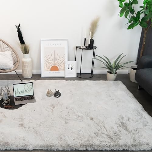 Consilio Concept Heaven Fellteppich 80x150 hellgrau Teppich Supersoft 50 mm Höhe Soft weich Hasenfell Imitat grau Silber hell Wohnzimmerteppich Kinderzimmerteppich Küchenteppich Flurteppich