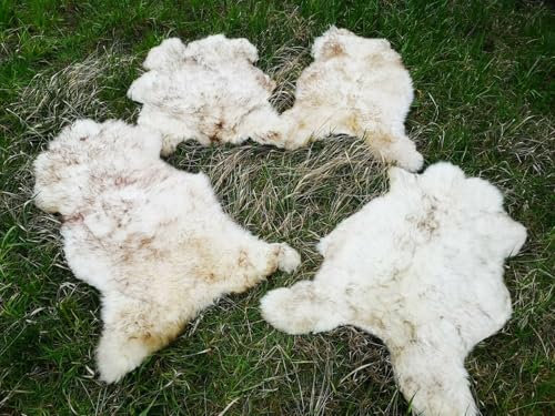 Provellus Echt Öko Schaffell Lammfell Fell Geflammt Bis 140cm 2.Wahl Schnäppchen (eher hell geflammt, 130-140cm lang)