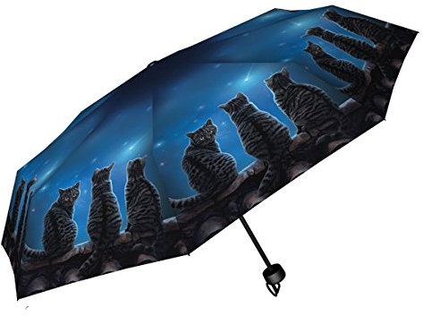 Dark Dreams Gothic Fantasy Regenschirm Taschenschirm Katze Katzen Sterne Nachthimmel Wish upon a star von Lisa Parker