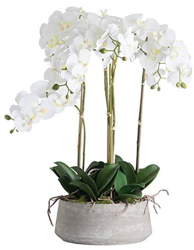 The Recipe Large White Orchid In Stone Pot, One size, 19960