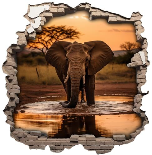 Samunshi® Wandaufkleber Wandriss mit Elefant Wandsticker Fenster in andere Welt für Kinderzimmer Wohnzimmer Küche Wanddekoration Wallart 50x50cm