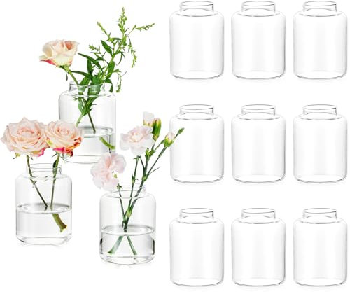 Glasseam Glass Vases for Table Decor: 12 Pcs Clear Small Vase Set for Wedding Centrepieces Home Living Room Kitchen Bedroom Dining Tables Decorations - Modern Bud Vases for Flowers Plants