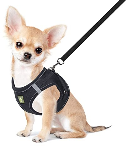 FEimaX Hundegeschirr mit Leine für Kleine Mittele Hunde Katzen Weich Mesh Welpengeschirr Atmungsaktive Brustgeschirr Verstellbare Reflektierend No Pull Weste Chihuahua Katze