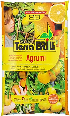 Bril Terriccio per agrumi 45 lt Terra per agrumi Limoni aranci pompelmi Kumquat