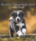 Niedliche Hundekinder 2024 - Wand-Kalender - Tier-Kalender - 30x34: Dinky Dogs