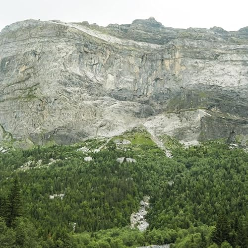 Cortizona