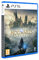 Warner Bros Hogwarts Legacy - PS5
