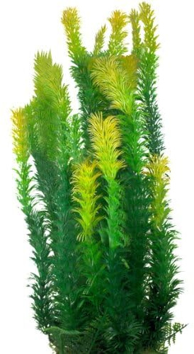 Jumbo Extra Large Tall Plastic Thin Leaf Seaweed Aquarium Plant 50-52cm (19-20 Inch) Tall, Green Bushy Pine Needle Plant with Weighted Base Fish Tank or Pond Decoration Ornament