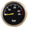 ARMYJY Scuba Diving Cylinder Pressure Gauge, 350 Bar Brass Shock-Resistant Movement M10x1 G1/8 Thread Compatible Clear Scale (M10x1 thread)