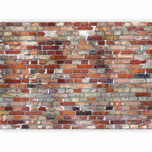 murando Fotomurales 400x280 cm XXL Papel pintado tejido no tejido Decoración de Pared decorativos Murales moderna de Diseno Fotográfico de Piedras Ladrillo Concreto 3D f-A-0569-a-a