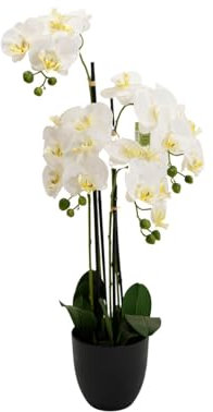 Generico Orchidea Artificiale Royal Bianca H85 cm – Pianta Finta Realistica in Vaso di Resina Nera, Elegante Decorazione da Interno per Casa e Ufficio