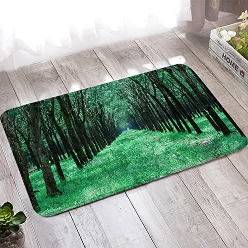 Vorzimmer Teppich, Türmatte Schmal 60X180cm Grün Baum und Straße für Wohnzimmer Schlafzimmer